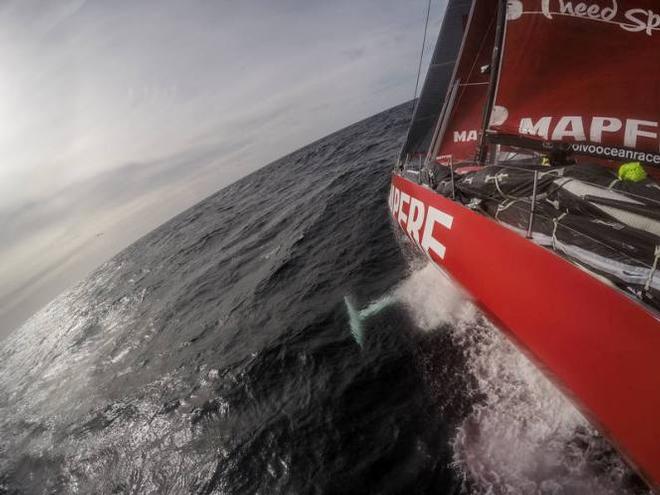 Onboard MAPFRE - Clear sky and beautiful sailing conditions - Leg five to Itajai -  Volvo Ocean Race 2015 © Francisco Vignale/Mapfre/Volvo Ocean Race